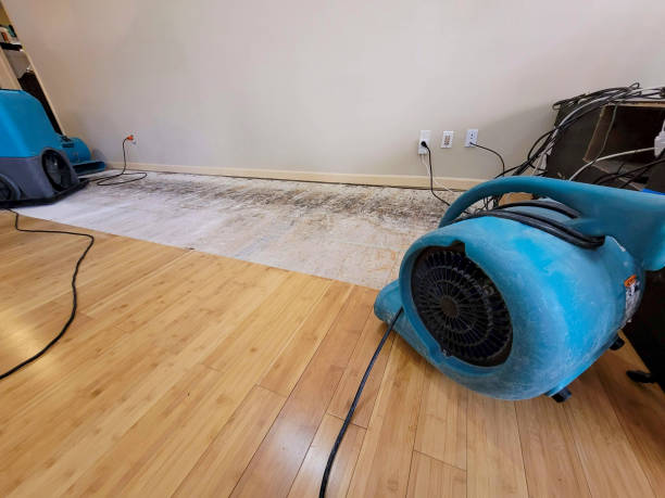 Professional Burst Pipe Water Damage technician working in Pleasant Grove, AL